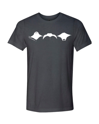 t shirt plongeur gris raies manta