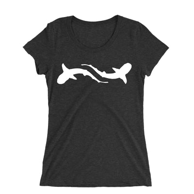 Shark Education