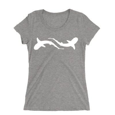 Shark Education