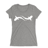 Shark Education