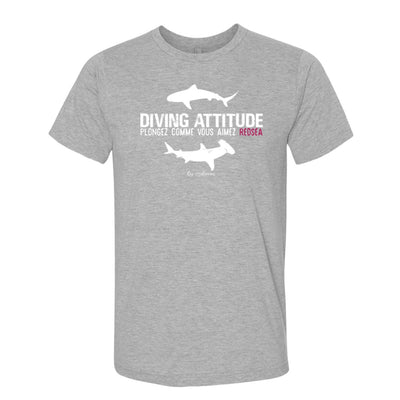 Diving Attitude 2020