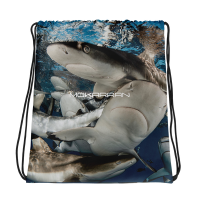 requin sac
