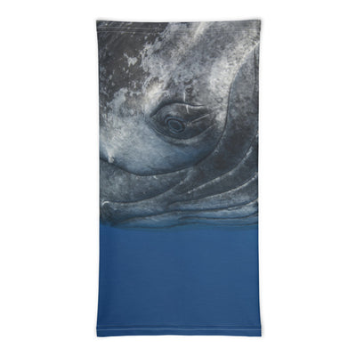 Cache-cou Baleine