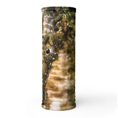 Cache-cou Hippocampe