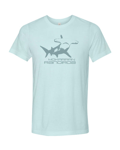 tee shirt plongée  rangiroa requin marteau bleu