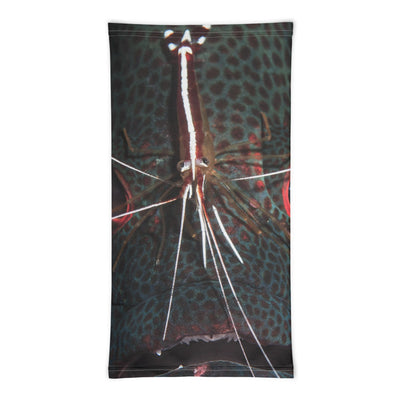 Cache-cou MASQUE MÉROU