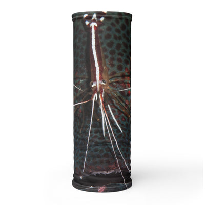 Cache-cou MASQUE MÉROU