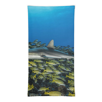 Cache-cou MASQUE requin fakarava sud
