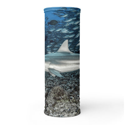 Cache-cou Requin bordé