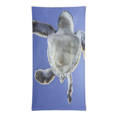 Cache-cou Tortue Volante