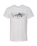 t-shirt blanc requin pointes noires