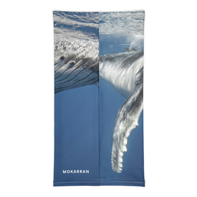 Cache-cou Baleine
