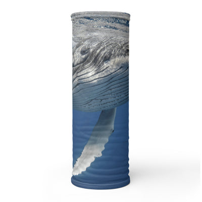 Cache-cou Baleine