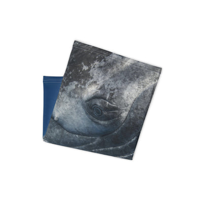 Cache-cou Oeil de la Baleine