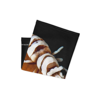 Cache-cou Crevette
