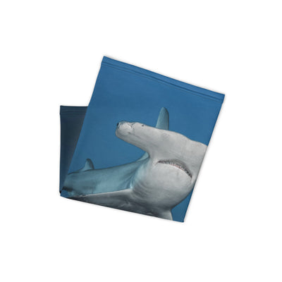 Cache-cou Requin marteau