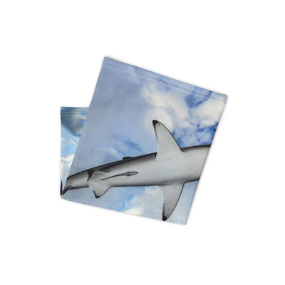 Cache-cou Requin dans le ciel