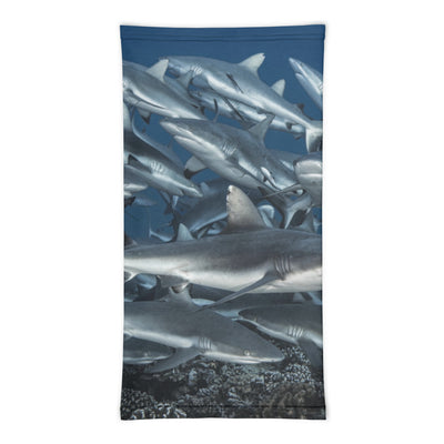 Cache-cou Requin gris Fakarava