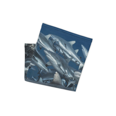 Cache-cou Requin gris Fakarava