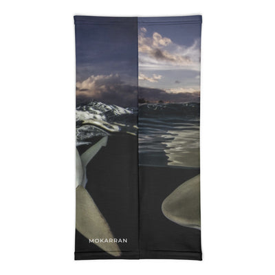 Cache-cou Requin sunset