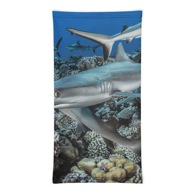 Cache-cou BOULE DE REQUIN