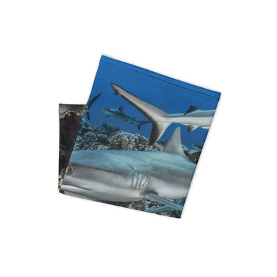 Cache-cou BOULE DE REQUIN