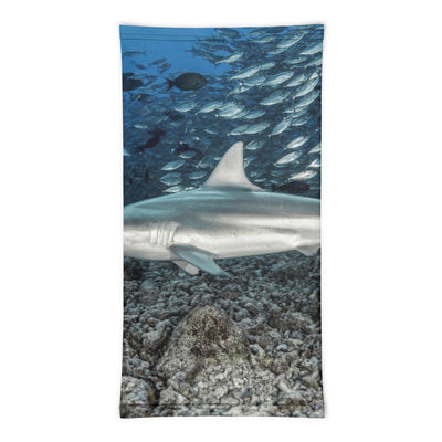 Cache-cou Requin bordé