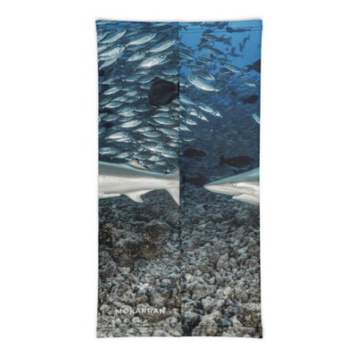 Cache-cou Requin bordé