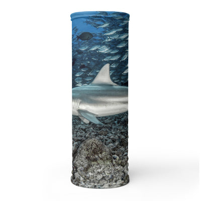 Cache-cou Requin bordé