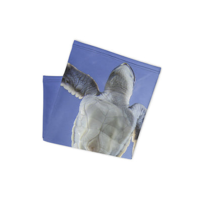 Cache-cou Tortue Volante
