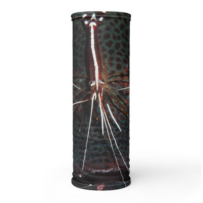 Cache-cou MASQUE MÉROU