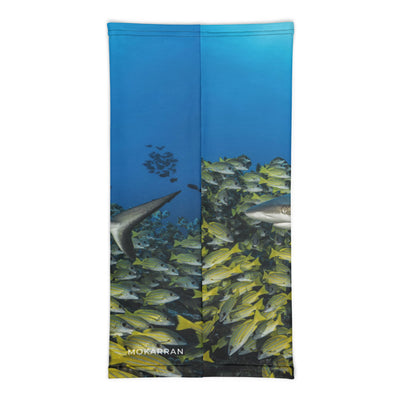 Cache-cou MASQUE requin fakarava sud