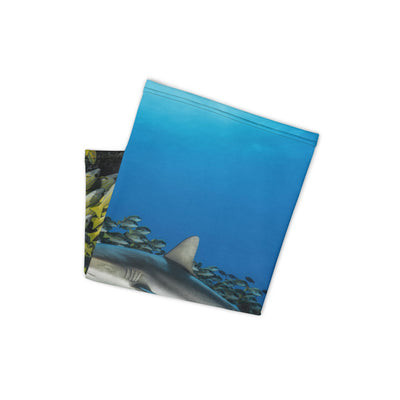 Cache-cou MASQUE requin fakarava sud