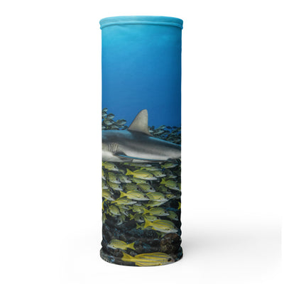 Cache-cou MASQUE requin fakarava sud