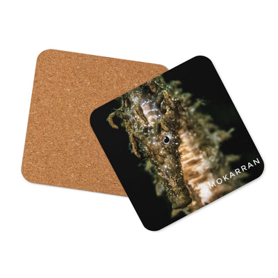Sous-verres Hippocampe