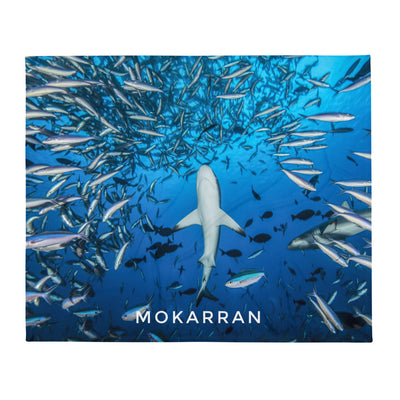 Plaid Requin Chassant